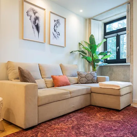 Cosy House Downtown With Swimming Pool And Ac Apartment